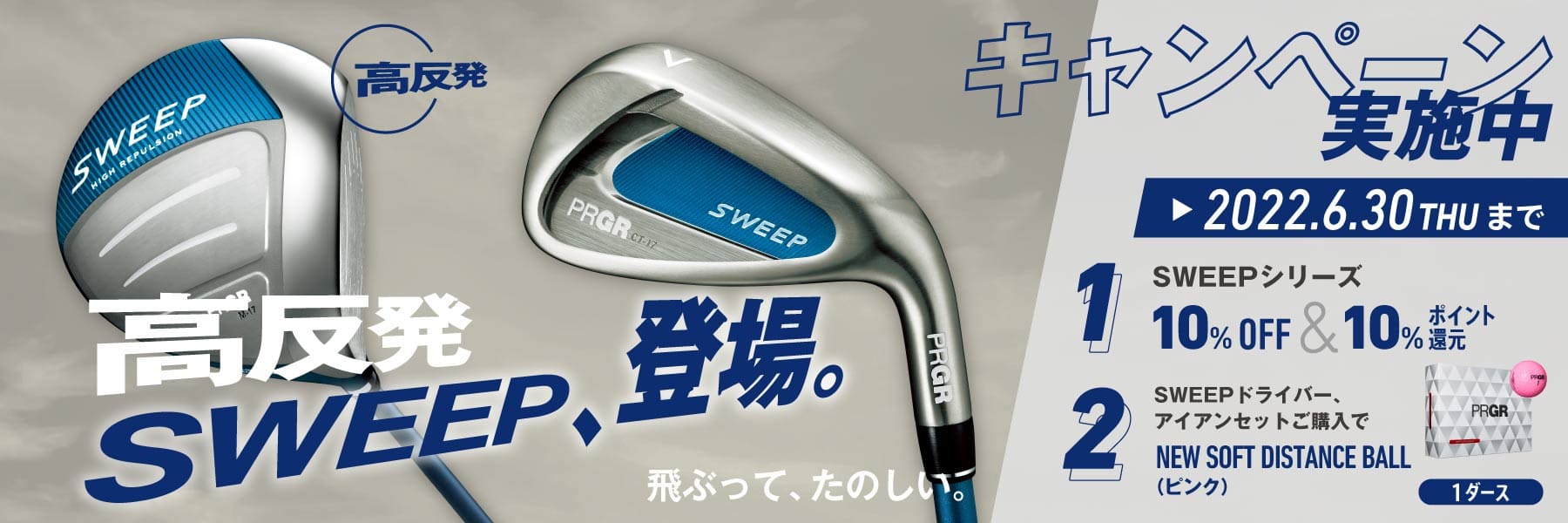 704円 ギフト PRGR プロギア NEW SOFT DISTANCE ゴルフボール 1ダース